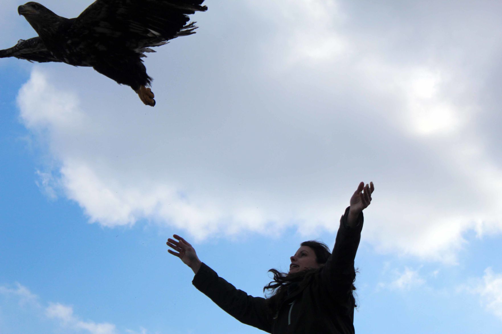 021320-sauk-gallery-eagle022.jpg